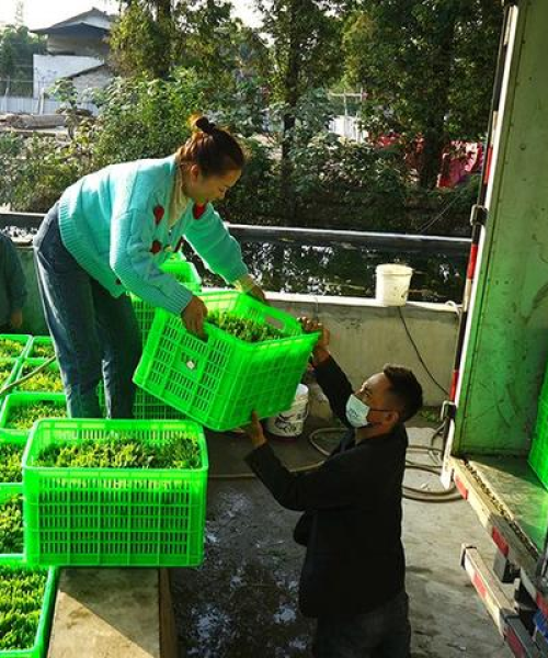 今日市场最新行情预告——交通设施行业的最新动态与数据解析：今日市场最新行情预告视频