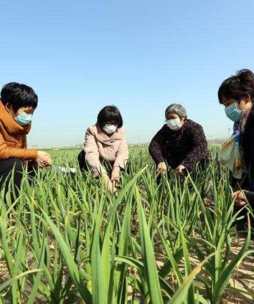 杞县在线最新消息今日综述：杞县在线新闻