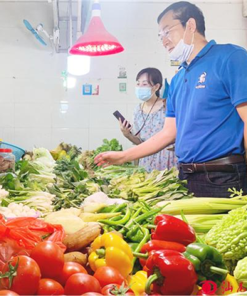 今日汕尾菜价最新消息：今日汕尾菜价最新消息查询