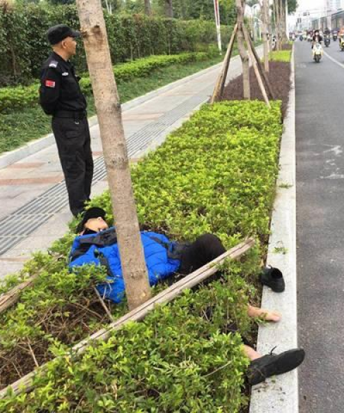 重磅推荐最好电驴排名前十名，细数当下最受欢迎的电动摩托车！：最好电驴排名前十名品牌